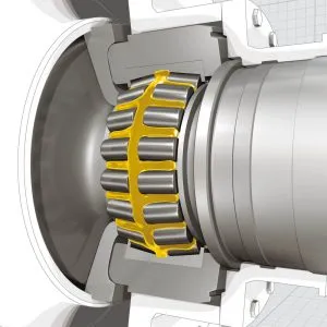 Sản phẩm mo_boi_tron 300x300 — Công Ty TNHH Thương Mại Hiển Lâm — MST 3502282956