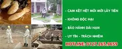 Sản phẩm dich vu diet moi diet con trung tan goc — Công Ty TNHH Thương Mại Dịch Vụ Công Nghiệp Sài Gòn Vũng Tàu — MST 3502284135