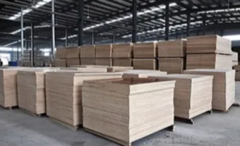 Sản phẩm kho van phu phim VXD 1 — Công Ty TNHH Ván Xây Dựng Việt Nam — MST 3502309654
