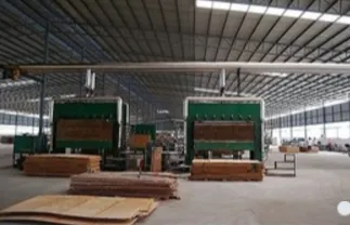 Sản phẩm VXD van phu phim — Công Ty TNHH Ván Xây Dựng Việt Nam — MST 3502309654