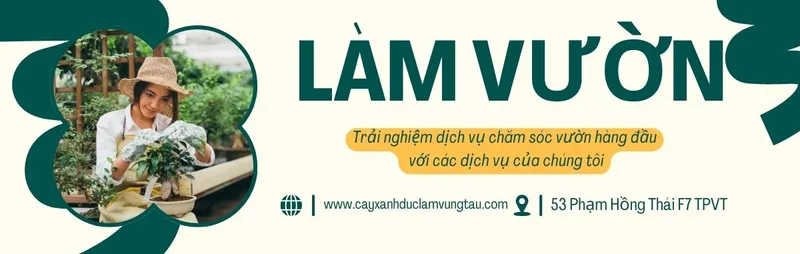 Sản phẩm 3 — Cây Xanh Đức Lâm Vũng Tàu - Công Ty TNHH TM DV XNK Đức Lâm — MST 3502321972