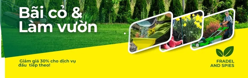 Sản phẩm 5 — Cây Xanh Đức Lâm Vũng Tàu - Công Ty TNHH TM DV XNK Đức Lâm — MST 3502321972