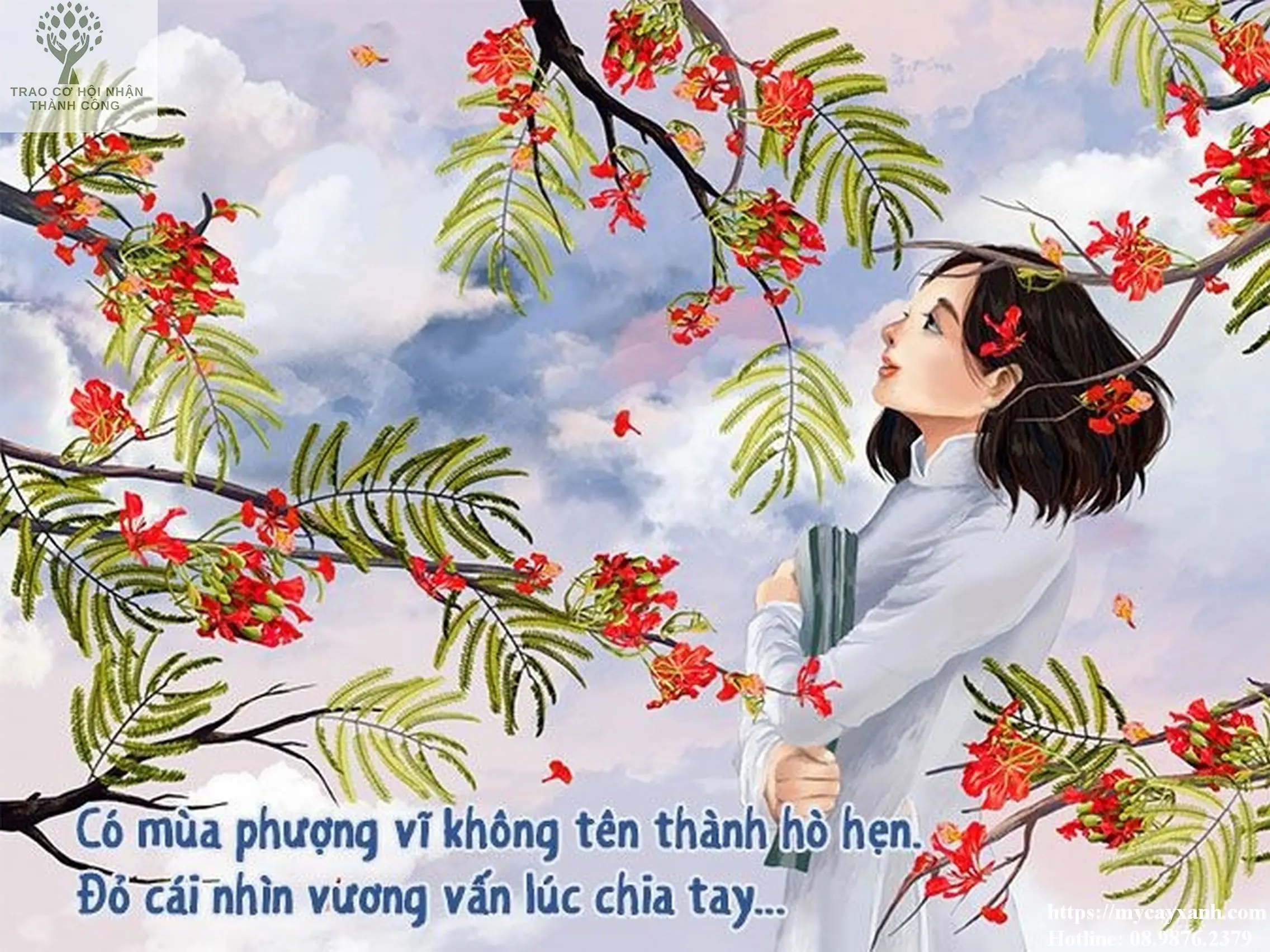 Sản phẩm dich vu chat cay vung tau nam 2023 650fcf35ef52b — Cây Xanh Đức Lâm Vũng Tàu - Công Ty TNHH TM DV XNK Đức Lâm — MST 3502321972