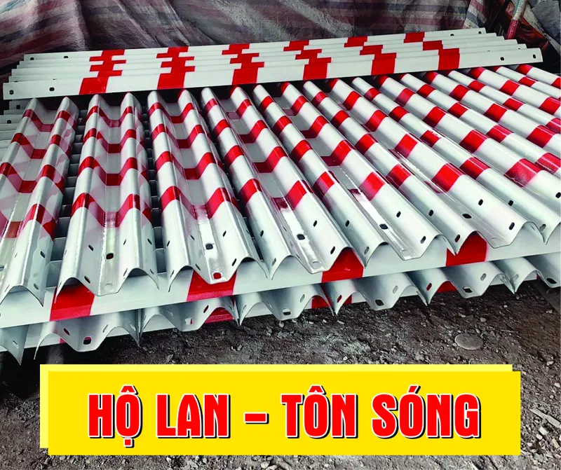 Sản phẩm ho lan 1 — Chi Nhánh Lâm Đồng - Công Ty TNHH Thương Mại Xây Dựng Công Trình Đồng Tâm — MST 3502337796