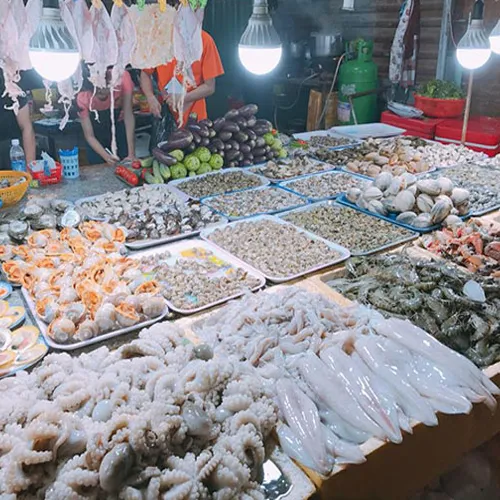 Sản phẩm Untitled 1 1 — Công Ty TNHH Thương Mại Và Du Lịch Thùy Vân — MST 3502346751