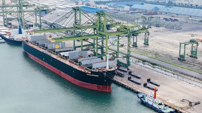 Sản phẩm z5694305023012_e8bf19f3fdeec3f93c958059215d2d08SXP5H — Than LEC Group - Công Ty Cổ Phần Tập Đoàn LEC — MST 3502380495