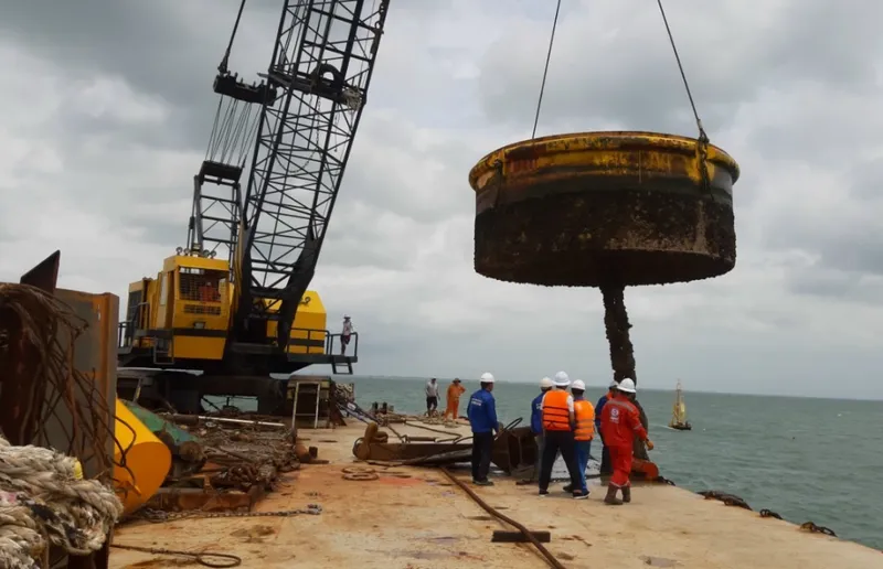 Sản phẩm 3 3 1024x660 — Công Ty TNHH Dịch Vụ Hàng Hải Trí Tín — MST 3502393938
