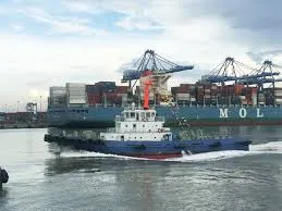 Sản phẩm tai xuong 2 — Vận Chuyển Trung Kiên - Công Ty TNHH Vận Tải Logistics Trung Kiên — MST 3502405502