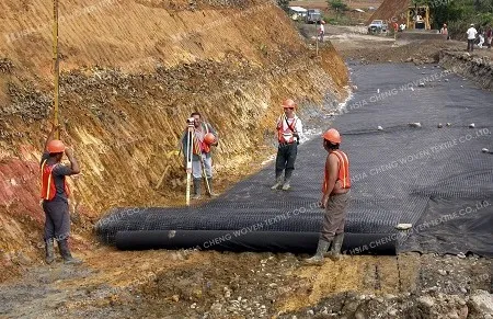 Sản phẩm homepage slide HSIA_CHENG_Geogrid_ Vai dia ky thuat va Luoi dia ky thuat 007  — Lưới Nông Nghiệp Và Màng Nhà Kính - Công Ty TNHH Hsia Cheng Woven Textile Việt
Nam — MST 3502409024
