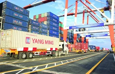 Sản phẩm A3AEC0DF54DAC8C0054844E5C94C4E1C — Công Ty Cổ Phần Vận Tải Cái Mép — MST 3502464755
