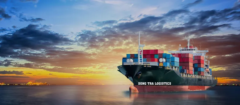 Sản phẩm 1a — Công Ty TNHH Sông Trà Logistics — MST 3502465082