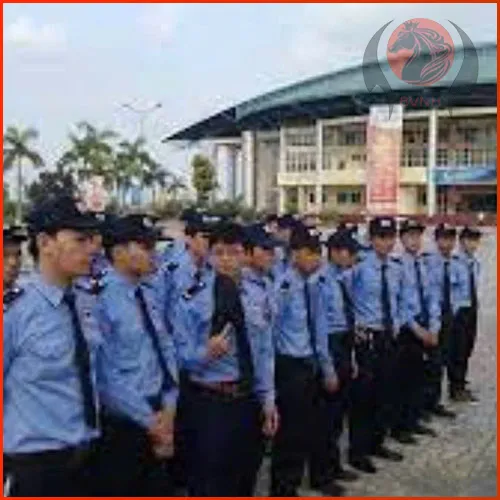 Sản phẩm bao ve ngoc hoa (27) — Bảo Vệ Ngọc Hòa - Công Ty Cổ Phần Dịch Vụ Bảo Vệ Ngọc Hòa Bà Rịa - Vũng Tàu — MST 3502498722