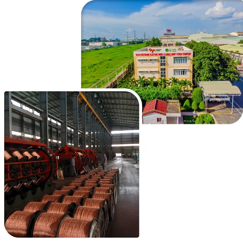 Văn phòng Dây Cáp Điện Taya - Công Ty Cổ Phần Dây Và Cáp Điện Taya Việt Nam #14 — MST 3600241468