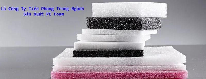 Sản phẩm 1093667667 — Công Ty TNHH Korea Express-Packsimex — MST 3600253223