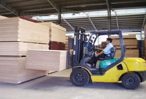 Sản phẩm hinh6 — Công Ty Cổ Phần Tổng Hợp Gỗ Tân Mai — MST 3600254266