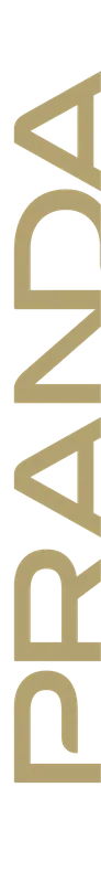 Logo Pranda Việt Nam - Công Ty TNHH Pranda Việt Nam