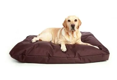Sản phẩm Dog bed 387x264 — Công Ty TNHH Arai Việt Nam — MST 3600512608