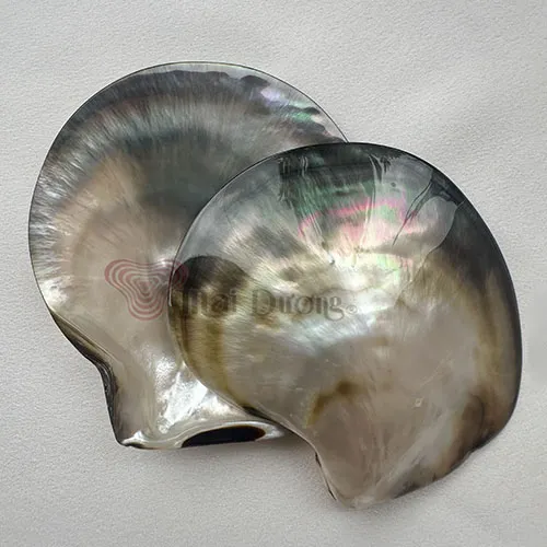 Sản phẩm Agoya Shell Buttons2 — Nút áo Vỏ Sò Mai Dương - Công Ty TNHH Mai Dương — MST 3600533608