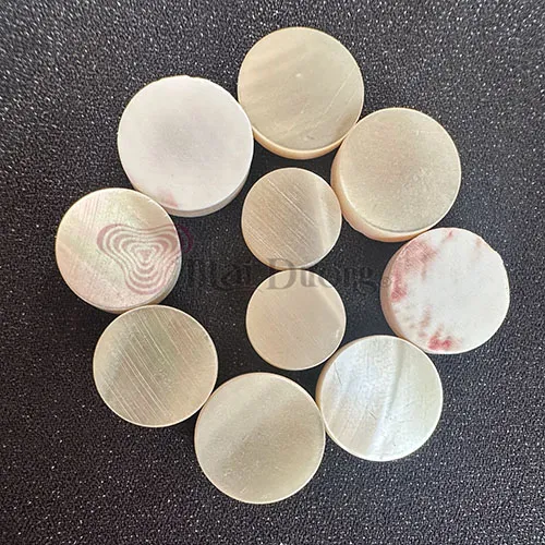 Sản phẩm Blank Trocas2 — Nút áo Vỏ Sò Mai Dương - Công Ty TNHH Mai Dương — MST 3600533608