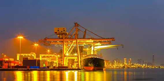 Sản phẩm shutterstock_167997821 — Công Ty TNHH Thương Mại Hải Minh — MST 3600615508