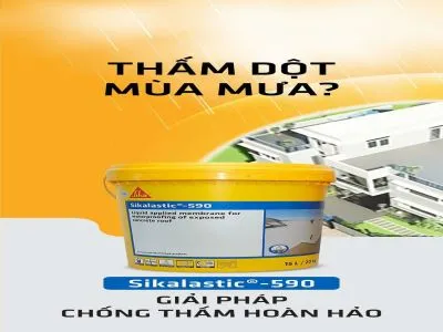 Sản phẩm 360118955 746774080786240 3377071780098090669 n 400x300 — Sika 297 - Công Ty TNHH Xây Dựng Thương Mại 297 — MST 3600632623