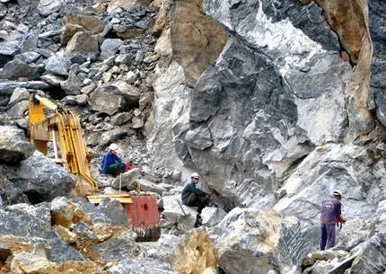 Sản phẩm 98942 — Găng Tay Ho-Hsiang - Công Ty TNHH Công Nghiệp Ho-Hsiang — MST 3600658646