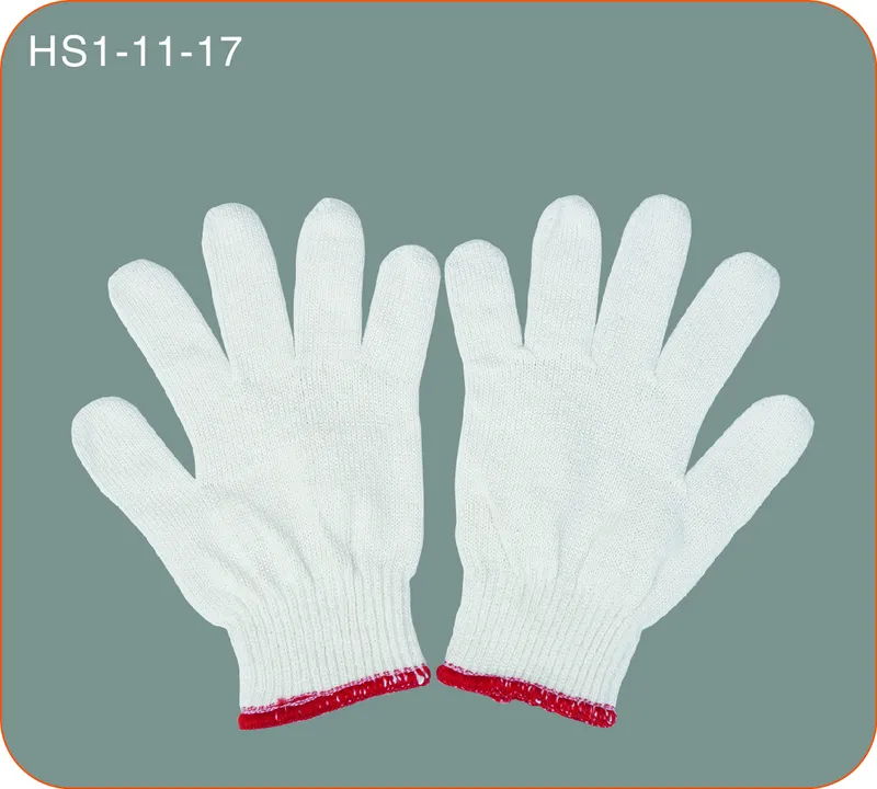 Sản phẩm HS1 11 17 — Găng Tay Ho-Hsiang - Công Ty TNHH Công Nghiệp Ho-Hsiang — MST 3600658646