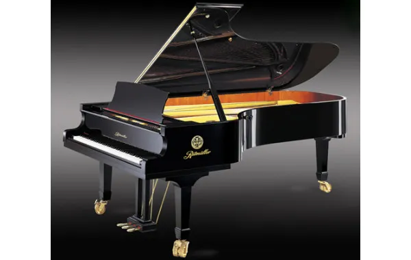 Sản phẩm Ritmuller GP 275R1 600x380 — Công Ty TNHH Văn Hóa Nghệ Thuật Đức Thương — MST 3600797456