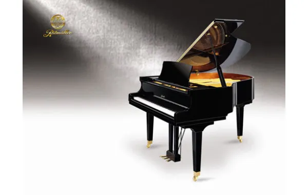Sản phẩm Ritmuller GP160R1 600x380 — Công Ty TNHH Văn Hóa Nghệ Thuật Đức Thương — MST 3600797456