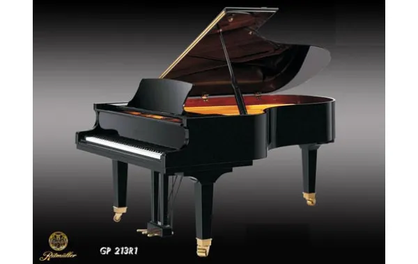 Sản phẩm Ritmuller GP213R1 600x380 — Công Ty TNHH Văn Hóa Nghệ Thuật Đức Thương — MST 3600797456