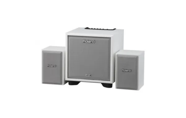 Sản phẩm Roland CM 110 2 600x380 — Công Ty TNHH Văn Hóa Nghệ Thuật Đức Thương — MST 3600797456