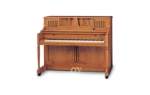 Sản phẩm Samick JS 300NSTD 600x380 — Công Ty TNHH Văn Hóa Nghệ Thuật Đức Thương — MST 3600797456