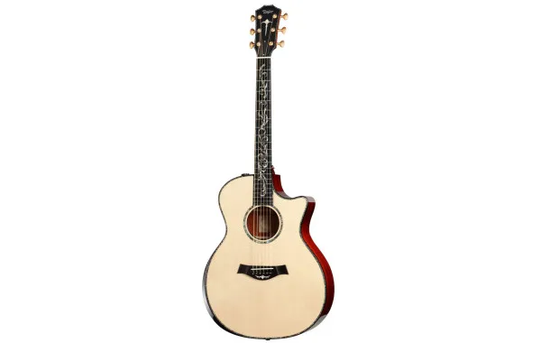 Sản phẩm Taylor PS14CE 600x380 — Công Ty TNHH Văn Hóa Nghệ Thuật Đức Thương — MST 3600797456