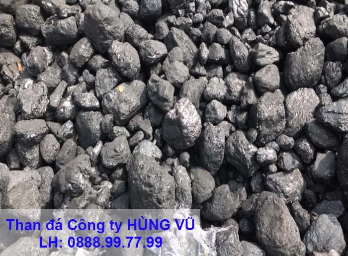 Sản phẩm 17556765 — Công Ty TNHH MTV Hùng Vũ — MST 3600961258