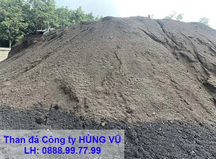 Sản phẩm 23306949 — Công Ty TNHH MTV Hùng Vũ — MST 3600961258