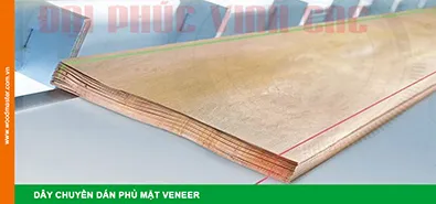 Sản phẩm 1029 — Công Ty TNHH Đại Phúc Vinh — MST 3600974909