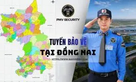 Sản phẩm Tuyen bao ve tai Dong Nai 3p364kpqehh25mx3jjs6ps — Bảo Vệ Phát Minh Vượng - Công Ty TNHH Dịch Vụ Bảo Vệ Phát Minh Vượng — MST 3600984872