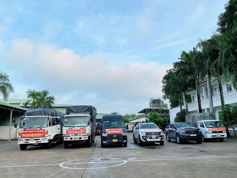 Sản phẩm 43acb79a69539e0dc742 — Công Ty TNHH Một Thành Viên Nhựa Đường Châu Bảo Uyên — MST 3601009323