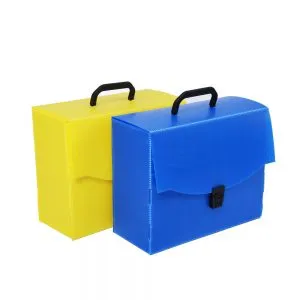 Sản phẩm Pp Hand Bag Box 300x300 — EPE Packaging - Công Ty TNHH EPE Packaging Việt Nam — MST 3601117199