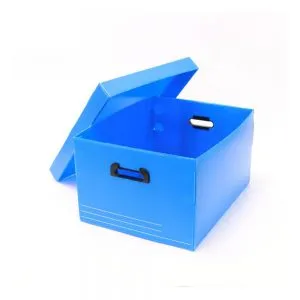 Sản phẩm Pp Handling Box 300x300 — EPE Packaging - Công Ty TNHH EPE Packaging Việt Nam — MST 3601117199