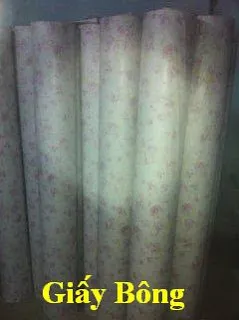 Sản phẩm p1387773428_giaybonglotbancat2 — Giấy Ngành May Việt Hưng An - Công Ty TNHH Việt Hưng An — MST 3601353929