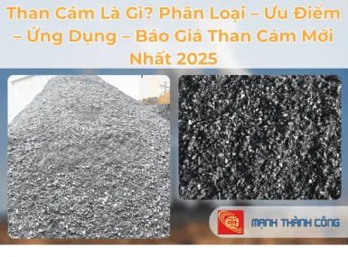 Sản phẩm 1 1 1763694923 — Than Mạnh Thành Công - Công Ty TNHH MTV Mạnh Thành Công — MST 3602095163