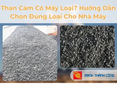 Sản phẩm 1 1 1764314985 — Than Mạnh Thành Công - Công Ty TNHH MTV Mạnh Thành Công — MST 3602095163