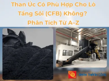 Sản phẩm 1 1 2437 — Than Mạnh Thành Công - Công Ty TNHH MTV Mạnh Thành Công — MST 3602095163