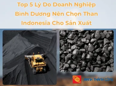 Sản phẩm 1 1564 — Than Mạnh Thành Công - Công Ty TNHH MTV Mạnh Thành Công — MST 3602095163