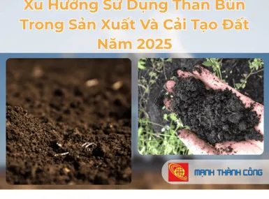 Sản phẩm 1 1759485980 — Than Mạnh Thành Công - Công Ty TNHH MTV Mạnh Thành Công — MST 3602095163