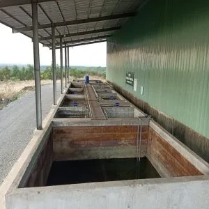 Sản phẩm f9cb1ccc191de543bc0c 300x300 — Công Ty Cổ Phần Môi Trường Quốc Đại Thành — MST 3602098929