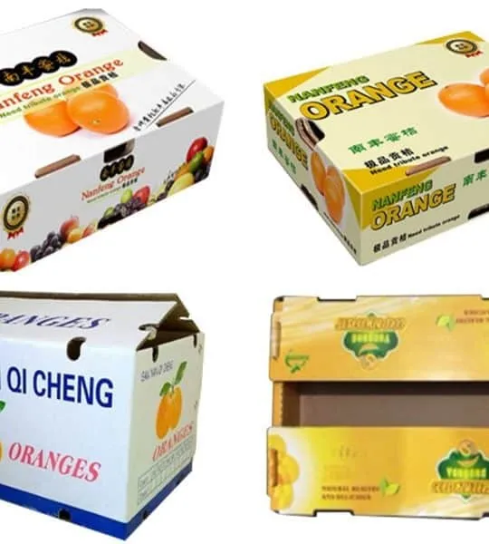 Sản phẩm In cong nghe Offset 540x600 — Bao Bì Lập Thiên Phát - Công Ty TNHH Bao Bì Lập Thiên Phát — MST 3602217069