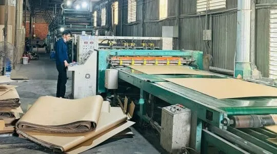 Sản phẩm May3 540x300 — Bao Bì Lập Thiên Phát - Công Ty TNHH Bao Bì Lập Thiên Phát — MST 3602217069