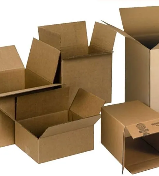 Sản phẩm Thung Carton nho 540x600 — Bao Bì Lập Thiên Phát - Công Ty TNHH Bao Bì Lập Thiên Phát — MST 3602217069